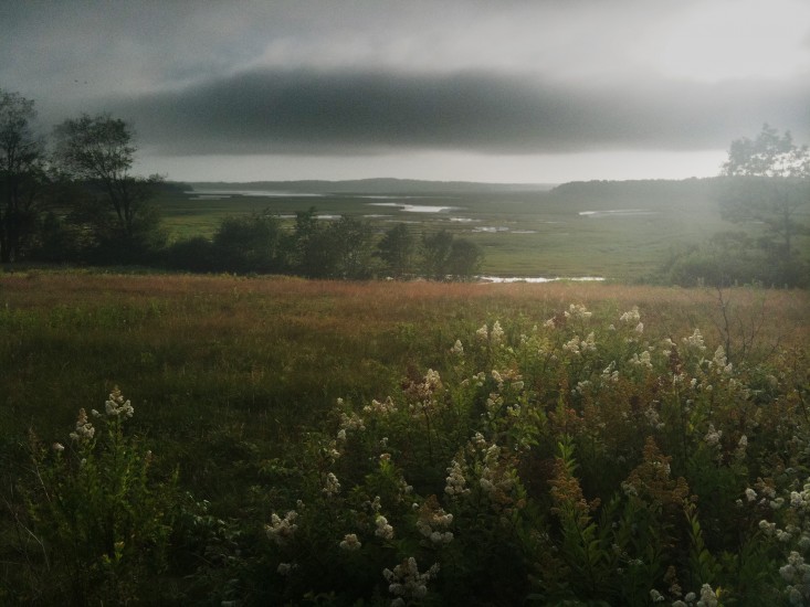 Looking to Scarborough Marsh from Blackpoint Rd.